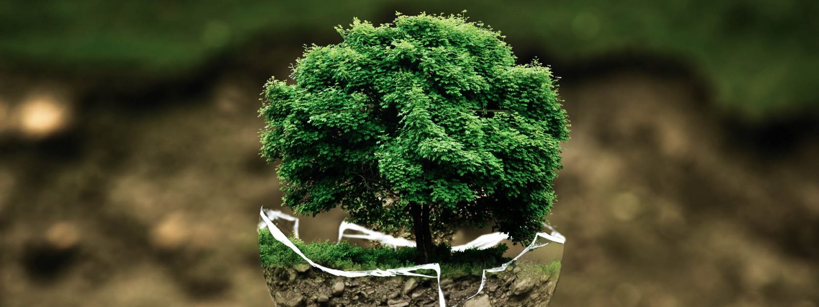Green Week 2017