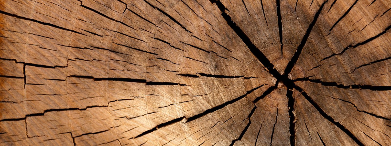 legno