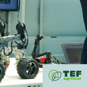 Agrifood Tef_PH AF