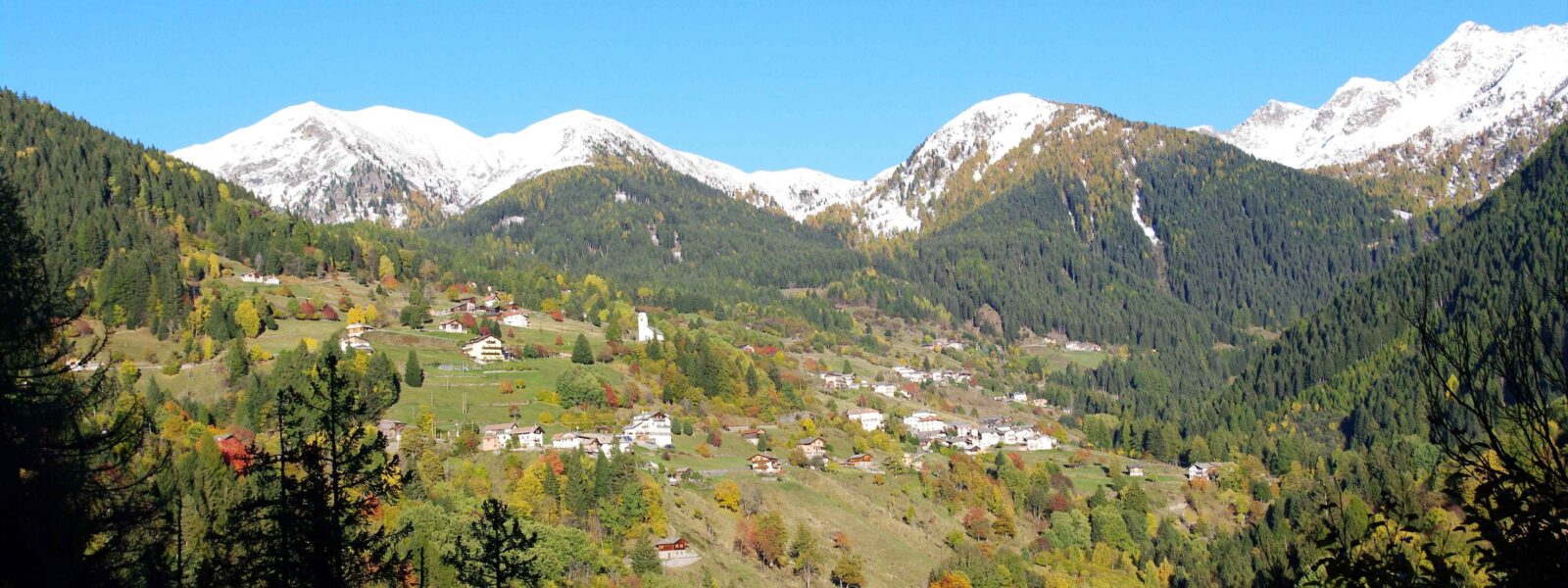 Panoramica di Palù del Fersina [ Foto Istituto culturale mòcheno]